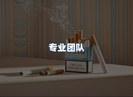 专业团队
